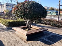 -永平路(地铁站)