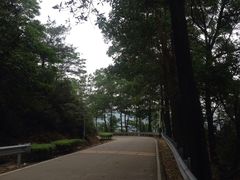 -风云岭森林公园