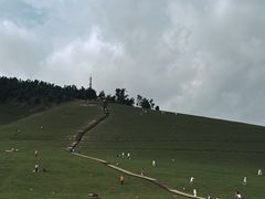-关山草原