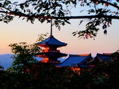 -有栖山 清光院 清水寺