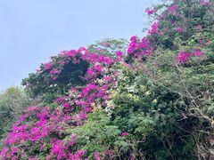 -三亚西岛海洋文化旅游区