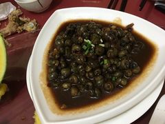 -安吉胖嫂家