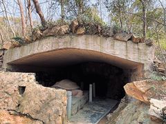 -上海佘山国家森林公园天马山园