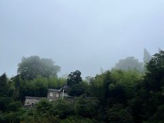 -莫干山风景区
