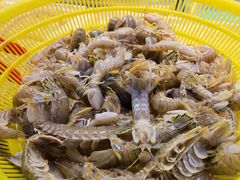 -天津金元宝滨海农产品交易市场(共发大道)