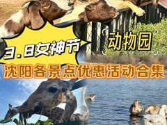 -沈阳森林动物园