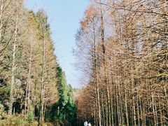 -山王坪喀斯特国家生态公园