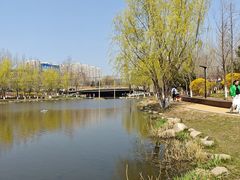 -前关湿地公园