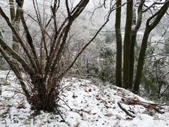 -黄山温泉国际旅游度假区