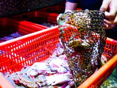 -巽寮印象美食部落餐厅·海鲜·地方特色菜(惠州体验店)