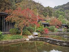 -云溪植物园