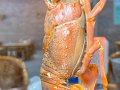 -吉品莞家·鲍鱼鸡煲(东莞店)