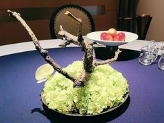 -金海华·Winsun玲珑国际·赫本时光(园区金鸡湖店)