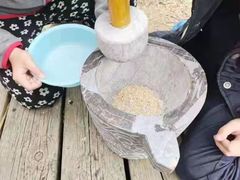 -前小桔亲子创意农场·草莓采摘·露营烧烤