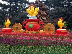 鸡鸣盛世-解放公园