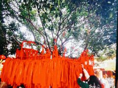 -龙华素斋(龙华路店)