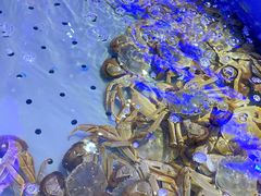 -澜悦港海鲜体验主题餐厅