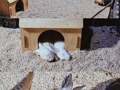 -常州海昌海洋探索馆