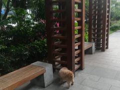 -广九铁路纪念园
