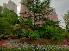 -迎泽公园