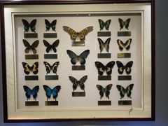 -上海昆虫博物馆