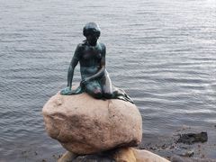 -美人鱼
