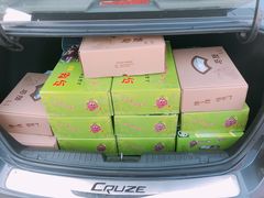 -马陆小张葡萄园农家乐