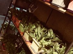 -番食园鲜食火锅(高新店)