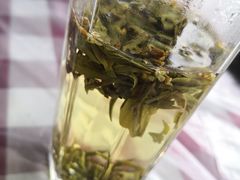 -阿巧茶庄