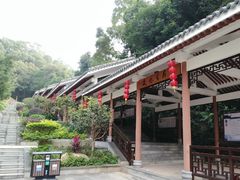 -广州市帽峰山景区
