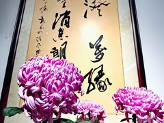 -汇龙潭