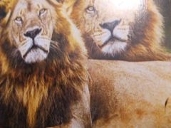 -甲乙果 美术书法(通州校区)