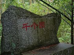 -广东茂名森林公园