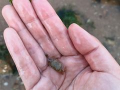 -青岛第三海水浴场