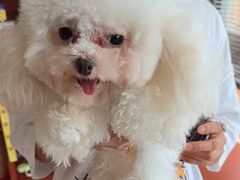 -艾贝尔宠物医院 ·内科全科(梁溪路店)