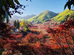 -四明山国家森林公园