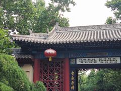 -大槐树寻根祭祖园
