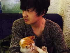 -Sirena海妖日咖夜酒