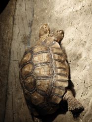 -Zoolung Zoolung动物主题公园(海信广场店)