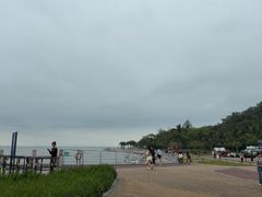 -野狸岛