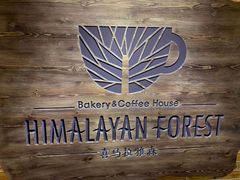 -喜马拉雅森HIMALAYAN FOREST