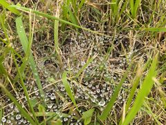 -福建鲤鱼洲酒店