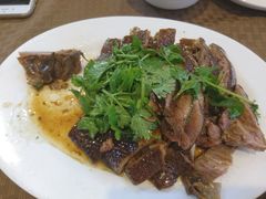 -肥信潮菜(科新路店)