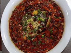 -味+新京宴·烤鸭·北京菜(创意谷店)