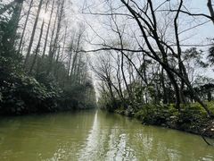 -上海滨江森林公园