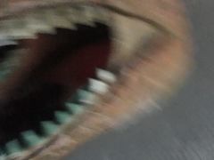 -中国西峡恐龙遗迹园