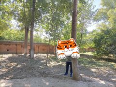 -亲兄弟真人CS团建拓展基地