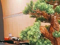 -羽鸽集·乳鸽专门店·地道顺德菜(岭南站店)