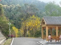 -火炉山森林公园