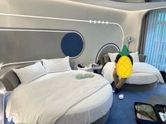 -常州武进九洲喜来登酒店